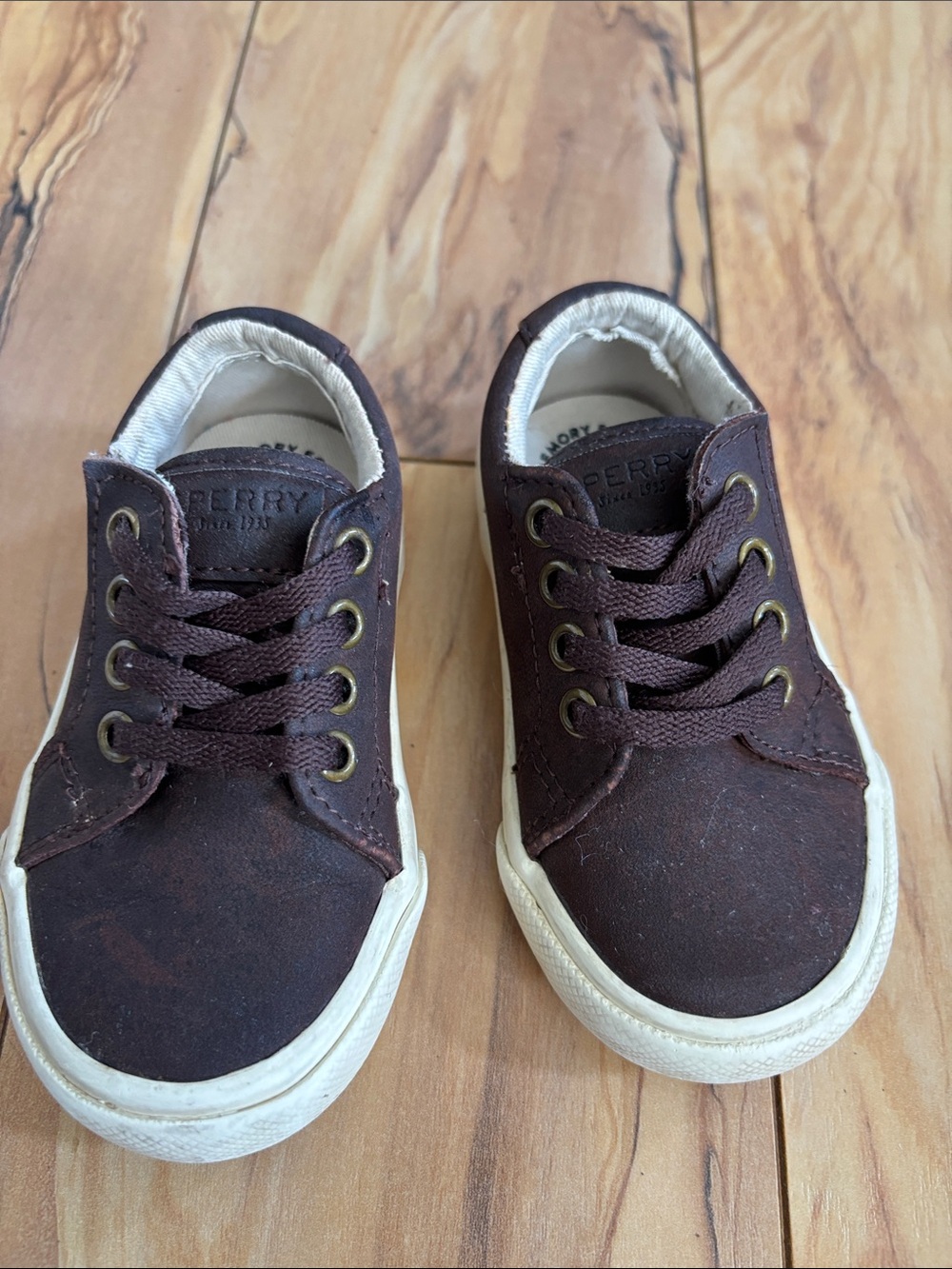 Sperry Kids Dark Brown Canvas Lace-Up Sneakers